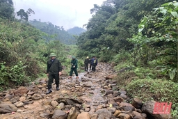 Giữ màu xanh đại ngàn