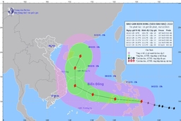 Công điện của Chủ tịch UBND tỉnh về ứng phó bão Rai