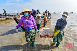 Bến cá Ngư Lộc nhộn nhịp dịp cuối năm