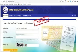 Phát hiện 3 website giả mạo trang thông tin điện tử Giấy phép lái xe