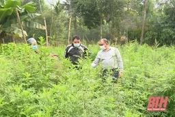 Lan tỏa phong trào thi đua “Dân vận khéo” ở huyện Lang Chánh