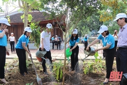 Hội LHPN tỉnh phát động hưởng ứng Ngày môi trường thế giới