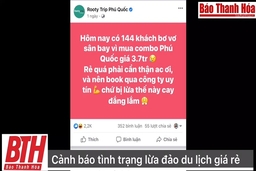 Cảnh báo tình trạng lừa đảo combo du lịch giá rẻ