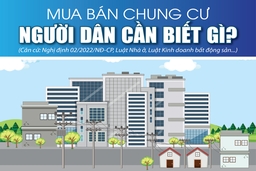 [Infographics] - Mua bán chung cư, người dân cần biết gì?