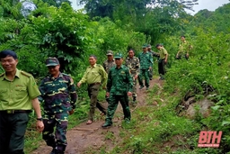 Tăng cường các giải pháp phòng cháy, chữa cháy rừng mùa nắng nóng