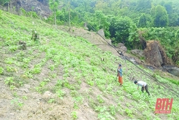 Người Mông ơn Đảng