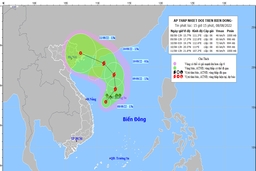 Vùng áp thấp mạnh lên thành Áp thấp nhiệt đới, có khả năng thành bão