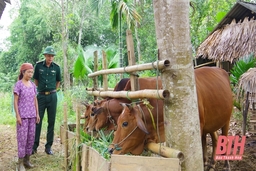 Đảng viên quân hàm xanh “cắm bản” nơi vùng biên Yên Khương