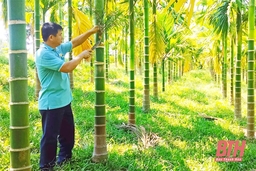 Cựu chiến binh Hà Văn Dũng làm theo lời Bác