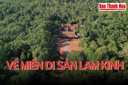 Về miền di sản Lam Kinh