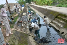 Triển khai đồng bộ các giải pháp khắc phục nguồn nước nhiễm mặn, phục vụ nước tưới vụ chiêm xuân năm 2023