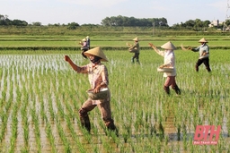 Trung tâm Khuyến nông tỉnh: Chú trọng đào tạo, chuyển giao tiến bộ khoa học - kỹ thuật