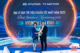 Hyundai Lam Kinh được HTCV vinh danh là “Đại lý duy trì tiêu chuẩn tốt nhất năm 2022”