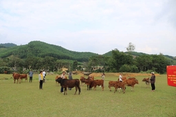 Nhân Ngày Người khuyết tật Việt Nam (18-4): Thắp lên hy vọng để người khuyết tật hòa nhập cộng đồng