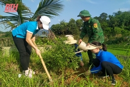 Trồng 100 cây hoa đào trong khuôn viên nhà văn hoá thôn