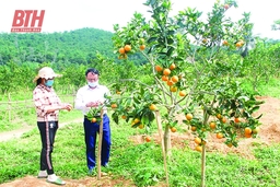 Nông thôn mới: Hành trình chuyển từ lượng đến chất (Bài 2): Điểm nhấn cơ chế khuyến khích vì mục tiêu cao hơn