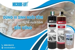 Dùng men vi sinh để phát triển nghề nuôi tôm bền vững