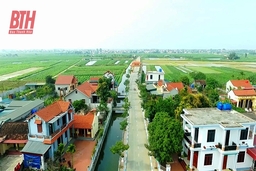 Sắc mới Hoằng Tân