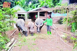 Bá Thước huy động nguồn lực thực hiện giảm nghèo bền vững