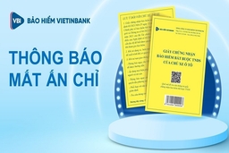 Thông báo mất ấn chỉ bảo hiểm