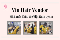 Vin Hair Vendor - nhà xuất khẩu tóc Việt Nam uy tín