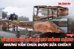 Vì sao cây cầu bị hư hỏng nặng nhưng vẫn chưa được sửa chữa?!