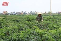 Lấy tiêu chí sản xuất làm nòng cốt XDNTM nâng cao