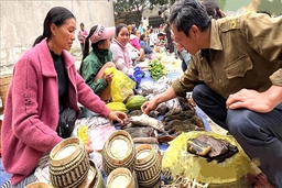 Chợ biên viễn...