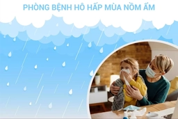 Kiến thức cần biết để phòng bệnh hô hấp khi trời nồm ẩm