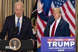 Joe Biden và Donald Trump chiến thắng trong vòng bầu cử sơ bộ tại 4 bang