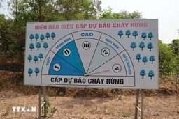 Các địa phương chủ động phòng, chữa cháy rừng trước tình trạng nắng nóng gay gắt