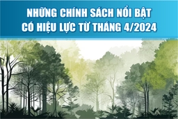 [Infographics] -  Những chính sách nổi bật có hiệu lực từ tháng 4/2024