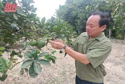 Cựu chiến binh không cam chịu đói nghèo