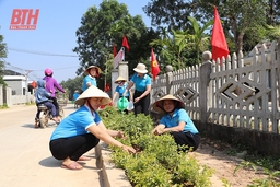 Những con đường hoa