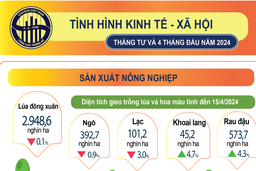 Kinh tế - xã hội 4 tháng: Nhiều lĩnh vực tiếp tục xu hướng tích cực