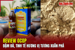 [REVIEW OCOP] Đậm đà, tinh tế hương vị tương Xuân Phả