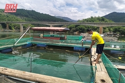 Bình yên trở lại Trung Sơn