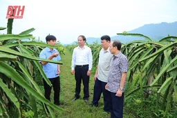 Kiên quyết đấu tranh phòng, chống tham nhũng, tiêu cực (Bài cuối): Cuộc chiến không khoan nhượng!