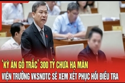 Điểm nóng 24/8: ‘Kỳ án gỗ trắc’ 300 tỷ chưa hạ màn, Viện trưởng VKSNDTC sẽ xem xét phục hồi điều tra