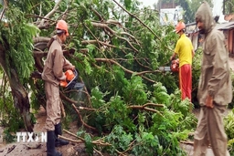 Ấn Độ sơ tán khẩn cấp hơn 300.000 người trước siêu bão Dana