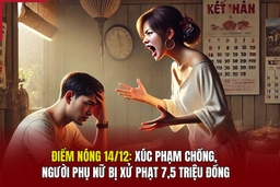 Điểm nóng 14/12: Xúc phạm chồng, người phụ nữ bị xử phạt 7,5 triệu đồng