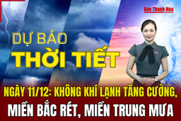 Dự báo thời tiết 11/12: Không khí lạnh tăng cường, miền Bắc rét, miền Trung mưa