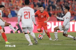 Thăng hoa ở AFF Cup, Tuyển Việt Nam tăng bậc trên bảng xếp hạng FIFA