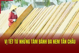 Vị Tết từ những tấm bánh đa nem Tân Châu