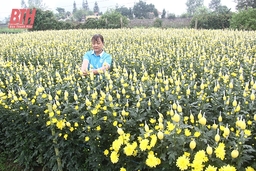 Những dấu ấn thành tựu