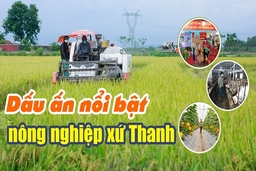 [E - Magazine] - Dấu ấn nổi bật nông nghiệp xứ Thanh