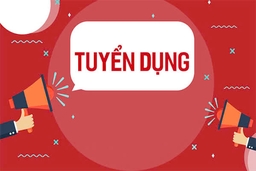 Thông báo tuyển dụng viên chức