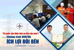 [E-Magazine] - Bài 2: Chương trình DSM/DR: Ích lợi đôi bên