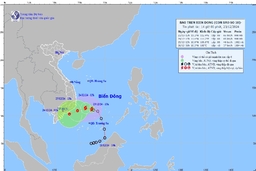 Áp thấp nhiệt đới đã mạnh lên thành bão số 10 năm 2024