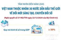 Đến 2045, Việt Nam thuộc nhóm 30 nước dẫn đầu thế giới về đổi mới sáng tạo